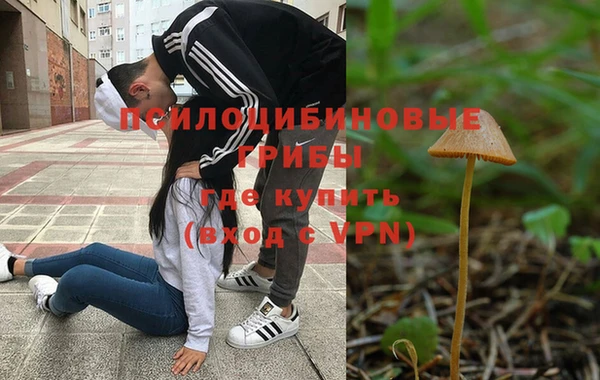 a pvp Зеленокумск