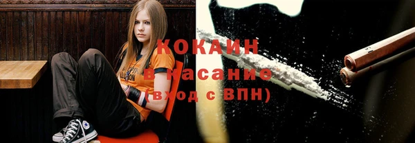 ПСИЛОЦИБИНОВЫЕ ГРИБЫ Зеленодольск