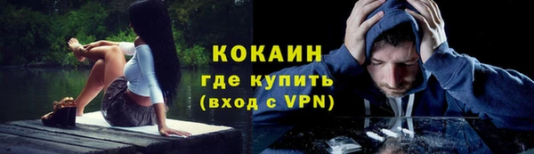 ПСИЛОЦИБИНОВЫЕ ГРИБЫ Зеленодольск