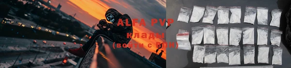 ПСИЛОЦИБИНОВЫЕ ГРИБЫ Зеленодольск