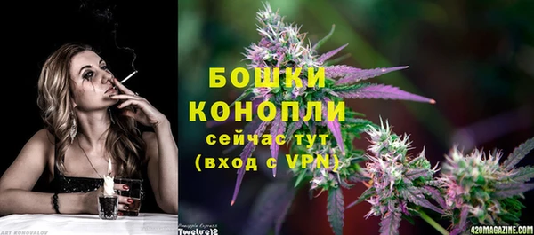 ПСИЛОЦИБИНОВЫЕ ГРИБЫ Зеленодольск