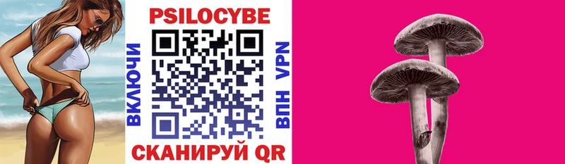 Купить закладки  Демидов  Галлюциногенные грибы Cubensis 