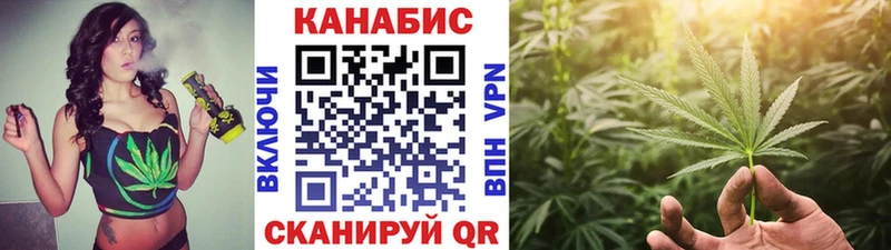 Купить закладки  Демидов  Конопля планчик 